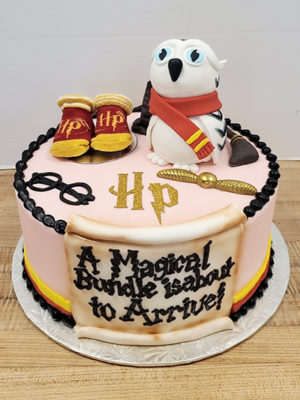 Harry Potter Shower Cake